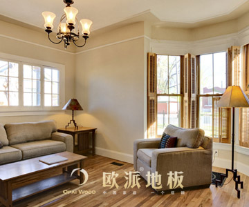 實(shí)木地板的正確保養(yǎng)