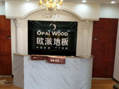 陜西城固歐派地板專賣店11.18特惠活動