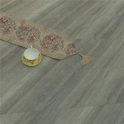 OP-LS805 克爾提斯強化地板