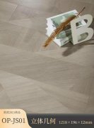 OP-JS01 立體幾何強化地板